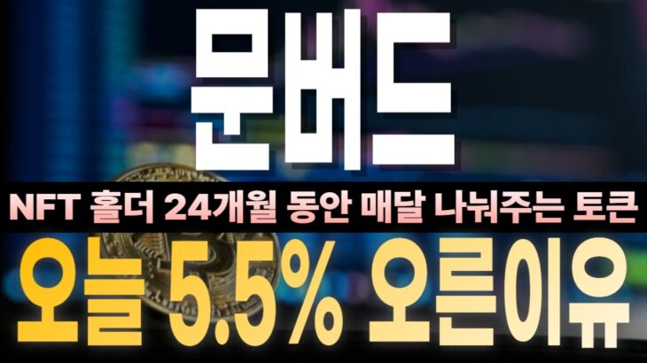 [문버드 코인 전망] 문버드 BIRB, NFT 홀더한테 24개월 나눠주는 토큰 — 오늘 5.5% 튄 이유