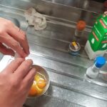 お弁当作る糖尿病の品格あるお料理記録 COOKING LIVE ASMR