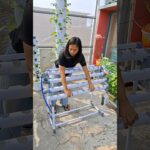 Cara merakit hidroponik NFT cocok untuk menanam berbagai macam jenis sayuran di rumah. #gardening
