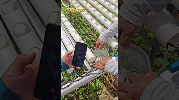 Cómo aumentar caudal en sistemas NFT – El truco de la doble manguera #hidroponia #NFT #caudaldeagua