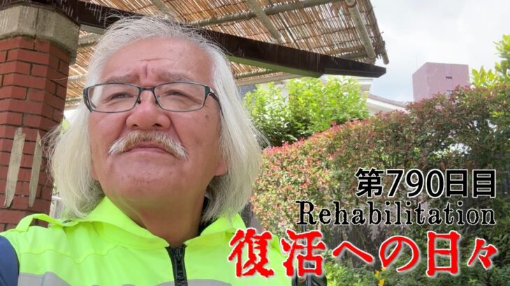 【#糖尿病 #闘病記】DAY790 つれない素振りの翌日に【#散歩】2026年7月8日の記録