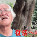 【#糖尿病 #闘病記】DAY809 なんだか疲れた・・・【#散歩】2026年7月27日の記録