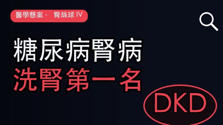 糖尿病腎病 DKD：全球洗腎第一名！高過濾→K-W 結節｜SGLT2i/finerenone｜醫學偵探 腎絲球 EP4