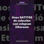 El día que unos gatitos de colección colapsaron Ethereum