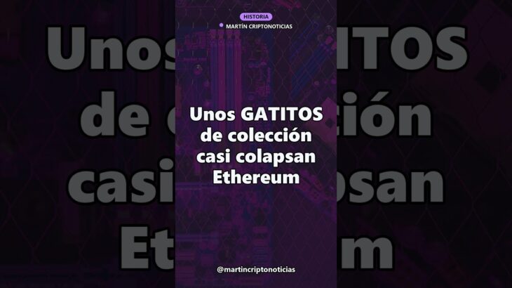 El día que unos gatitos de colección colapsaron Ethereum