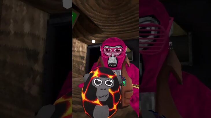 GIVEAWAY! #gorillatag #helpmemakethismakesense #gtag #gorilla #gorillatagvr #nft #monke #art #funny