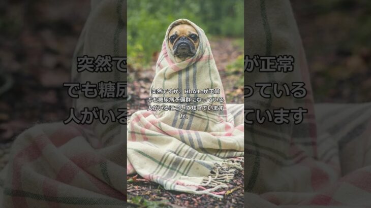 HbA1cが正常でも糖尿病予備群になって 001