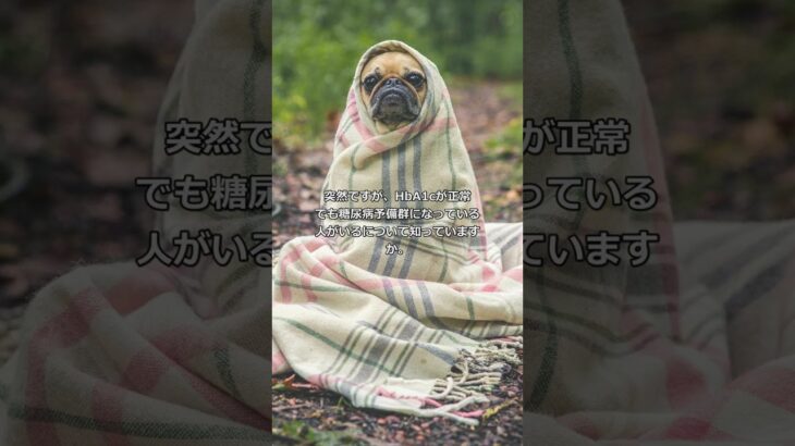 HbA1cが正常でも糖尿病予備群になって 001