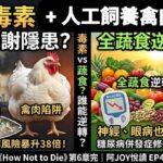 環境毒素+禽肉致肥｜全蔬食逆轉糖尿病併發症｜《How Not to Die》第6章（part -3 完）｜阿JOY悅讀 EP41