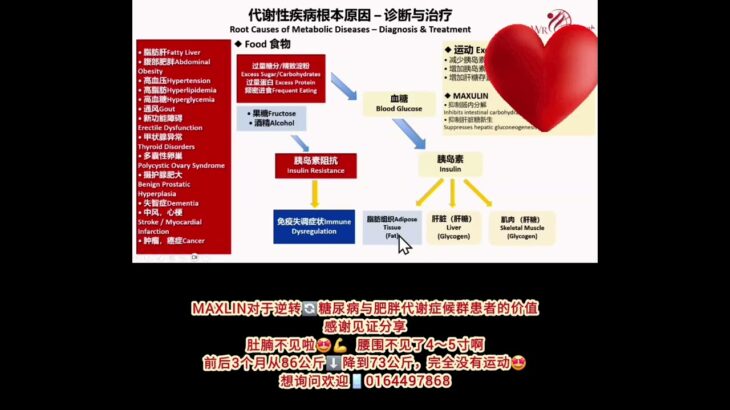 Maxlin对于逆转🔄糖尿病与肥胖代谢症h候群患者的价值感谢见证分享肚腩不见啦🤩💪腰围不见了4～5寸啊前后3个月从86公斤⬇️降到73公斤，完全没有运动🤩想询问欢迎📱0164497868