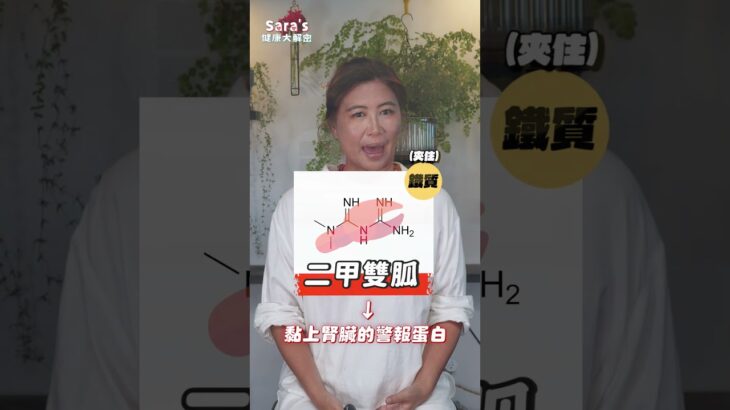 九成糖尿病患都在吃！揭密二甲雙胍（Metformin）的潛在傷腎風險｜賴宇凡Sara
