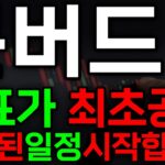 [문버드 코인] NFT 명가 숨겨진 일정 시작합니다🔥