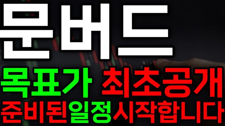 [문버드 코인] NFT 명가 숨겨진 일정 시작합니다🔥