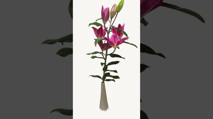 #NFT #ART #FLOWER #opensea #zora #openseanft #nftcommunity  #nftartist #nftcollections