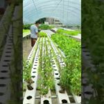NFT channels