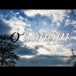 💫O Sanam💫 Akhil Sachdeva ft Sara GurpalFanTiger Music NFT’s 💫Lofi song💫 (✨feel this song ✨)
