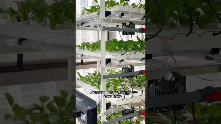 POV: You switched to NFT hydroponics and there’s no going back.