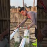 Polisi Inspiratif di Bekasi! IPDA Rizki Purnomo Sulap Lahan dengan Hidroponik NFT