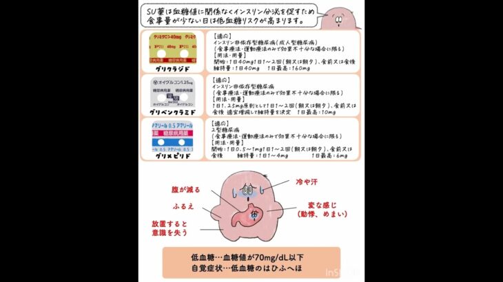 【糖尿病治療薬】SU薬＃糖尿病治療薬