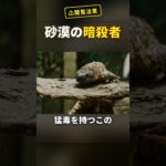 毒トカゲの唾液が糖尿病の特効薬になった衝撃の理由 #Shorts
