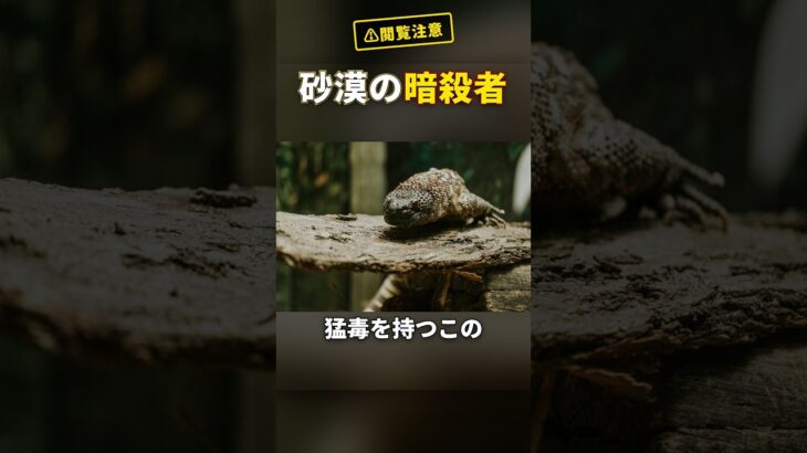 毒トカゲの唾液が糖尿病の特効薬になった衝撃の理由 #Shorts