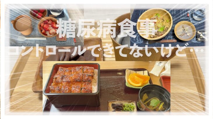 【糖尿病 Type1 】糖尿病の私の食事！血糖値コントロールうまく行っていないけど自分なりには気をつけてるつもりだけど…同じような食事だな