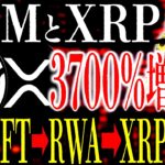 XRP･XLM=｢トレカNFT市場｣が｢1年半で3700%の急拡大｣機関マネーが流れ始めています⸺大トレンド発生中｢18.9兆㌦市場｣で両銘柄に資金が集まる理由を徹底的に解説【リップル】【ステラ】