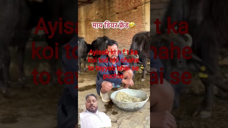 ✅#ayisab ki n f t ka koi tod nhi #publicreaction#nonfollowers#007007#trendingreels#✅