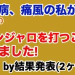 糖尿病、痛風の私が今話題のマンジャロを打つことになりました!by結果発表(2ヶ月後)
