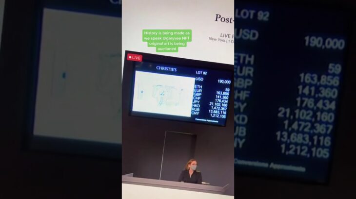 garyvee you did it! #veefriends #nft #nfts #garyvee… #Shorts #marcinteodoru