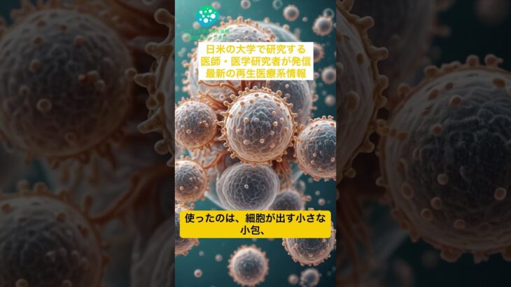 糖尿病の「治らない傷」に挑む最新エクソソーム治療｜血管再生 × 炎症制御 × 溶けるマイクロニードル #research #science #バイオサイエンス #論文紹介 #エクソソーム #雑学