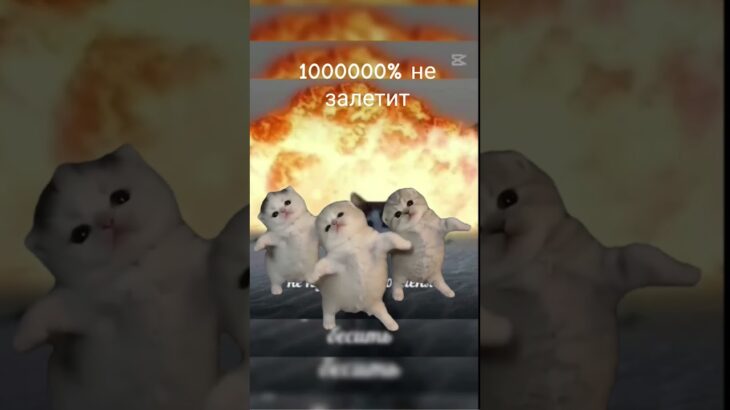 не залетит #stumbleguys #сваты6 #brawlstars #games #nature #roblox #nft #jewelry #love #snake