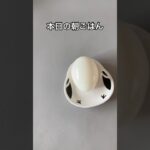 糖尿病家系サラブレッド主婦｜本日の朝ごはん