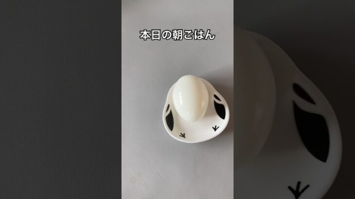 糖尿病家系サラブレッド主婦｜本日の朝ごはん