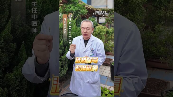 路边这棵酸小草，糖尿病人要知道！小时候吃的酸不溜，你可能还记得，但是它的学名是啥？你不一定知道的清楚，知道了你不一定要知道它是一种中草药其实在神农本草经中就有它的名字它叫酢浆草，也叫酸酸草