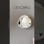 糖尿病家系サラブレッド主婦｜いつもの朝ごはん