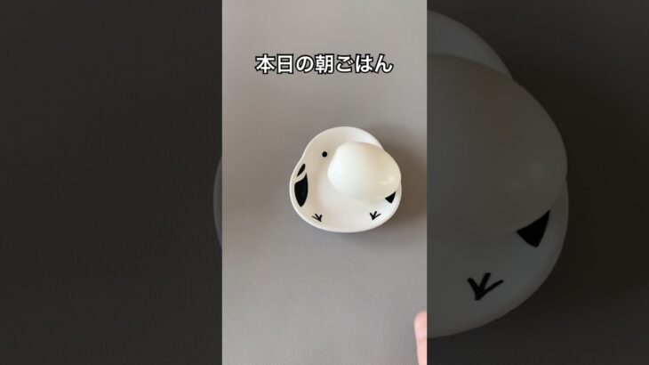 糖尿病家系サラブレッド主婦｜いつもの朝ごはん