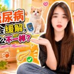 猫糖尿病有机会缓解，狗为什么不一样？