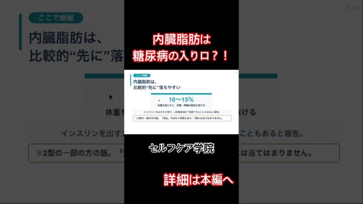 内臓脂肪は糖尿病の入り口