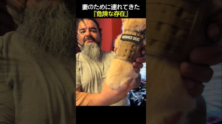 糖尿病の妻のために夫が連れてきた『危険すぎる存在』の正体…