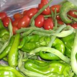 おばあちゃんの野菜が旬を迎えましたよ！＃肥満と糖尿病を改善し、フレイルを予防したい献立＃コープの宅配、元気マルシェ、ローソン、自家野菜で作る食事＃@ドクターハッシー糖尿病＃猫たちのいる暮らし