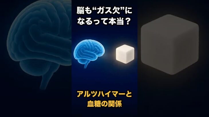 【医師が解説】アルツハイマー病が「三型糖尿病」と呼ばれる理由