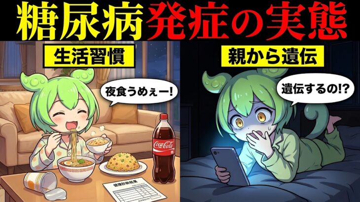 【知らないと怖い】糖尿病はどのようにして発症するのか？【ずんだもん&ゆっくり解説】