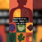 脂肪が老化すると、糖尿病・高血圧リスクが急上昇する