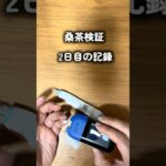 桑茶検証２日目の記録 #ダイエット #糖尿病 #血糖値コントロール #血糖値スパイク