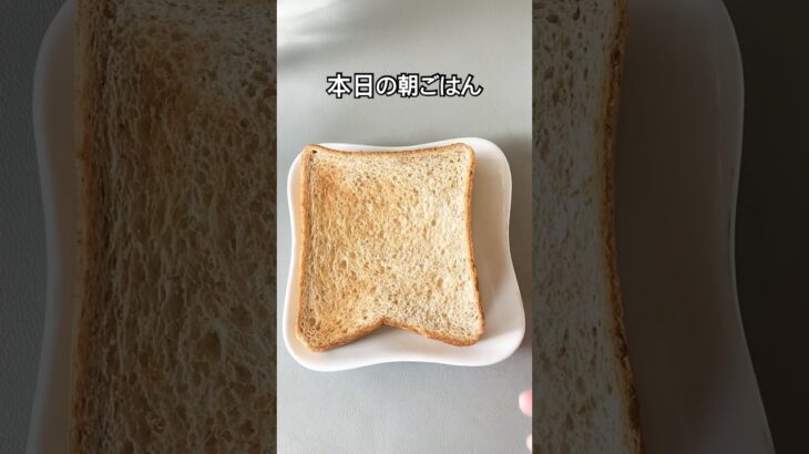 糖尿病家系サラブレッド主婦｜今日の朝ごはん