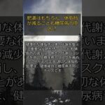 【最新研究】肥満はもちろん、体脂肪が減ることも糖尿病の原因？