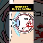 糖尿病の合併症で視力を失うしくみ【アニメ】