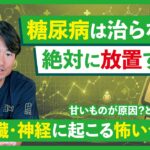 【医師本人も糖尿病】放置すると何が怖い？糖尿病をわかりやすく解説