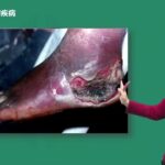 内科学 王逸 0603第03讲糖尿病一